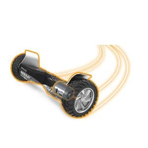 EPIKGO off road hoverboard motor